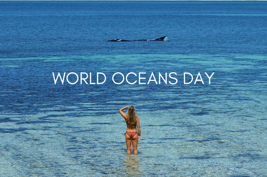 Happy World Oceans Day!