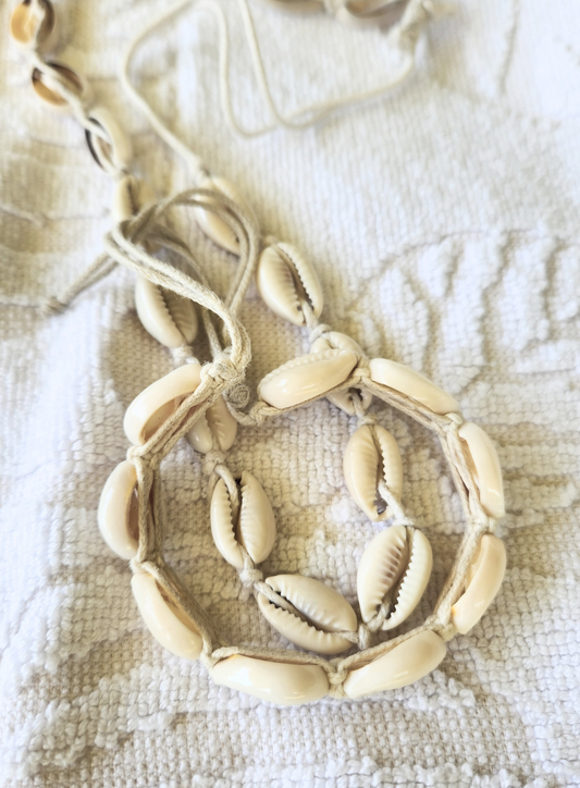 Cowrie Shell Bundle